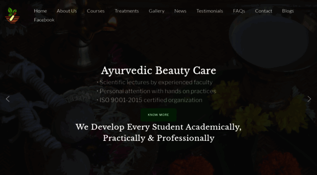 ayurvedabeautyinstitute.com