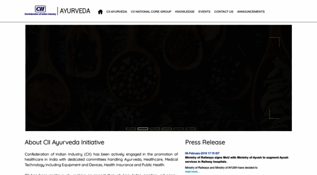 ayurvedaindustry.com