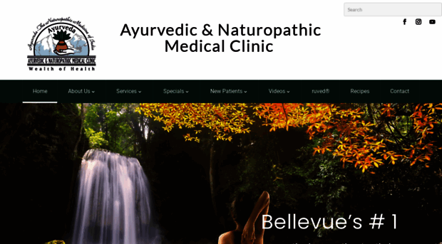 ayurvedicscience.com