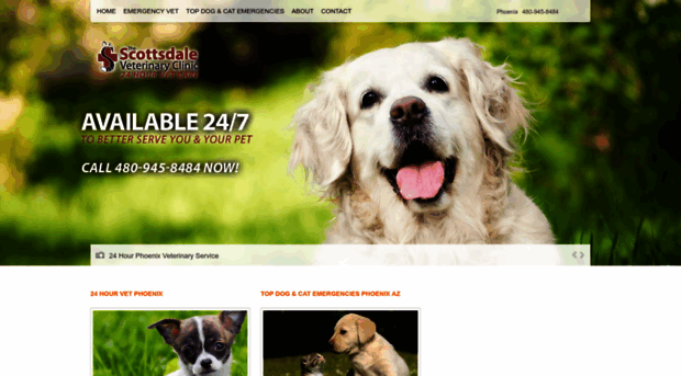 az24hourvet.com