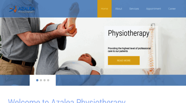 azaleaphysio.com