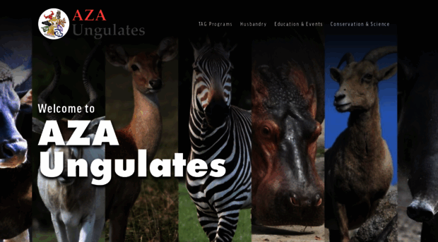 azaungulates.squarespace.com