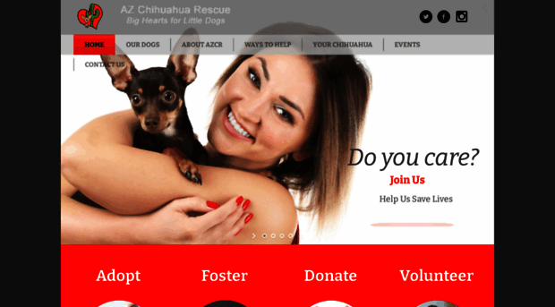 azchihuahuarescue.org