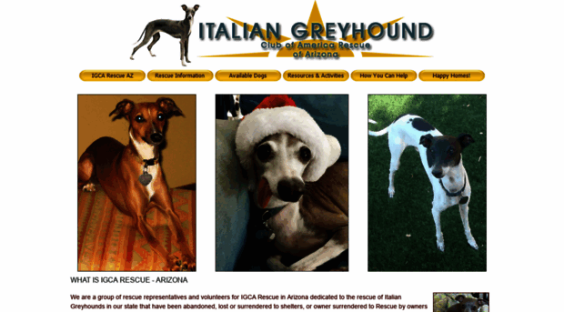 azitaliangreyhoundrescue.org