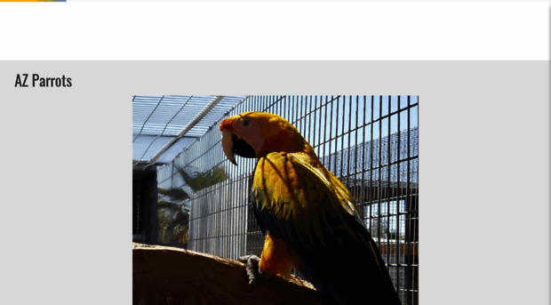 azparrots.com