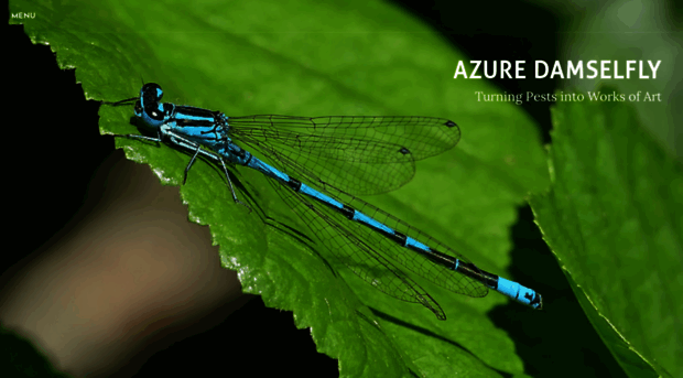 azuredamselfly.weebly.com