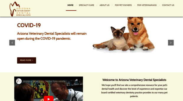 azvetdentists.com