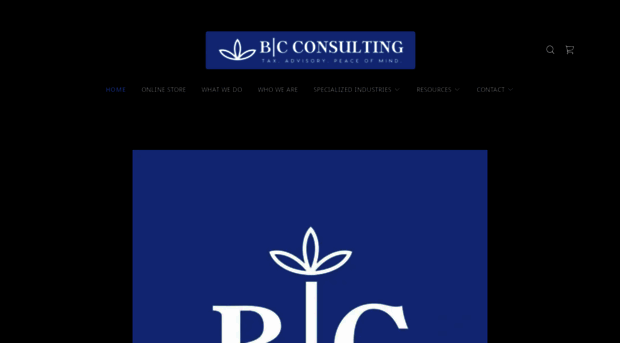 b-cconsulting.com