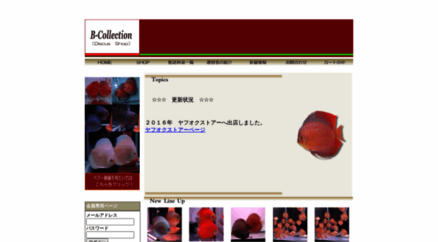 b-collection.net