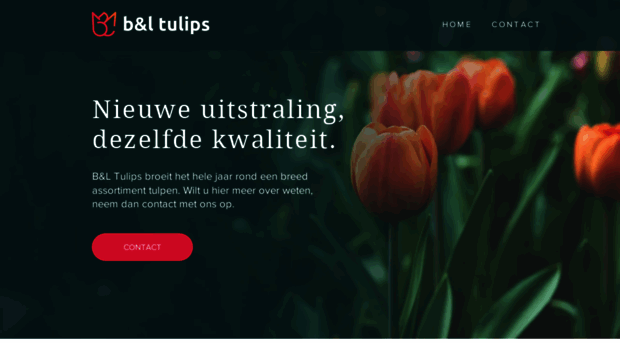 b-l-tulips.nl