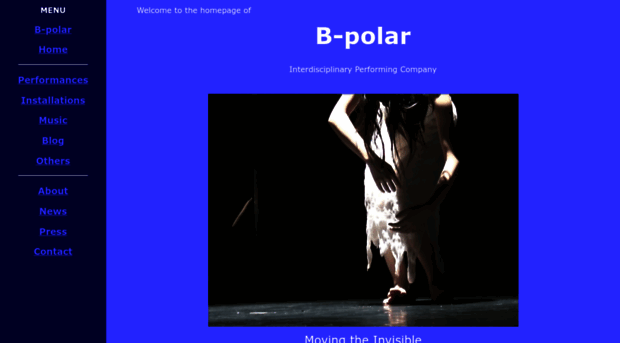 b-polar.com