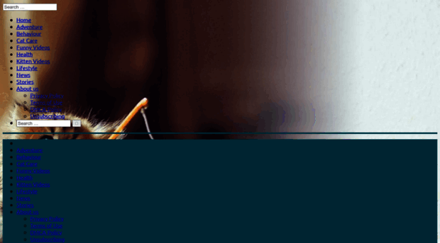 b.eveenaiftoa.com