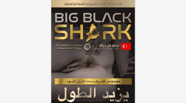 b17.bigblacksharkoil.com