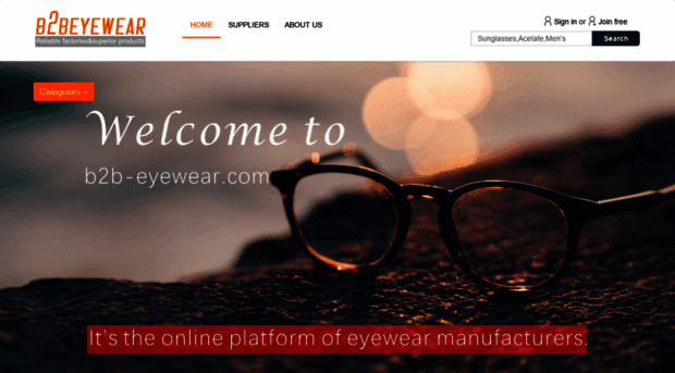 b2b-eyewear.com