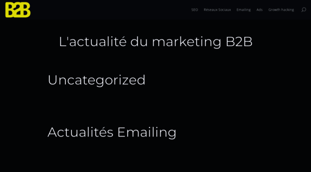 b2b-marketing.fr