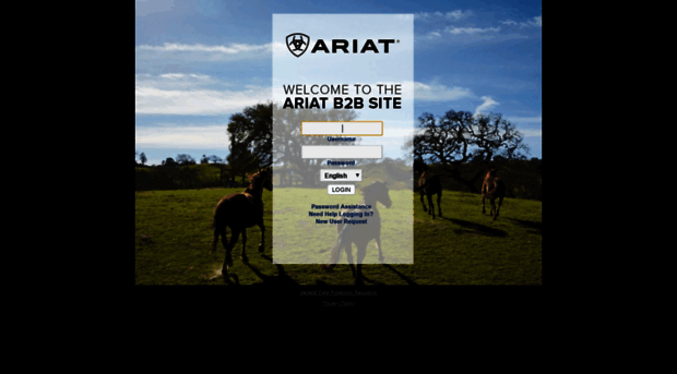 b2b.ariat.com