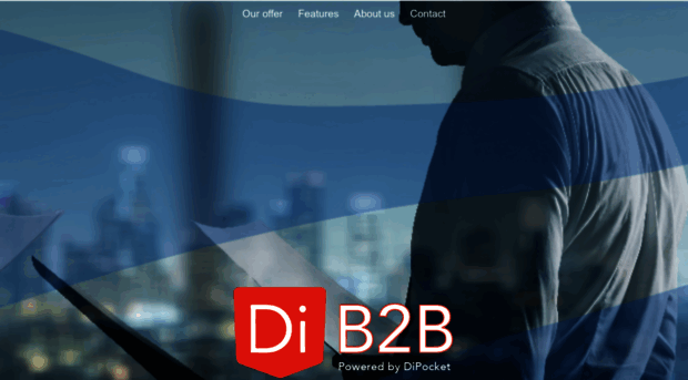 b2b.dipocket.org