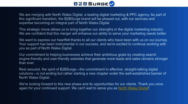 b2bsurge.com