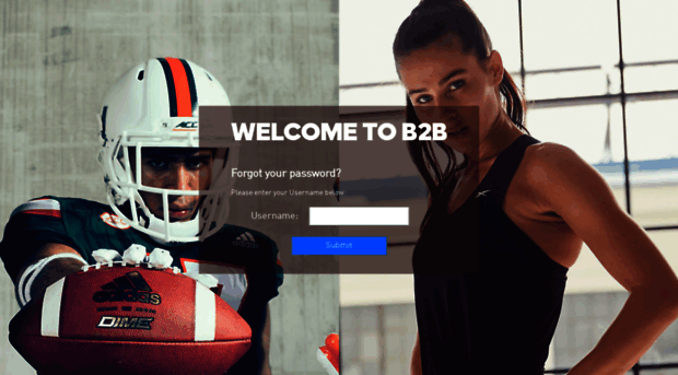 b2btools.adidas-group.com