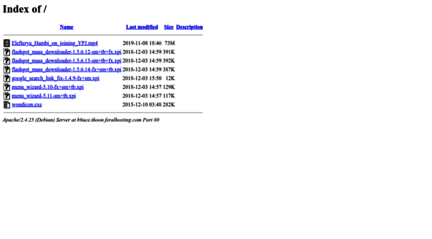 b9ace.thoon.feralhosting.com