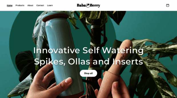 bababerry.co