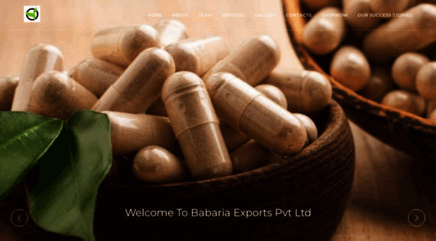 babariaexports.com