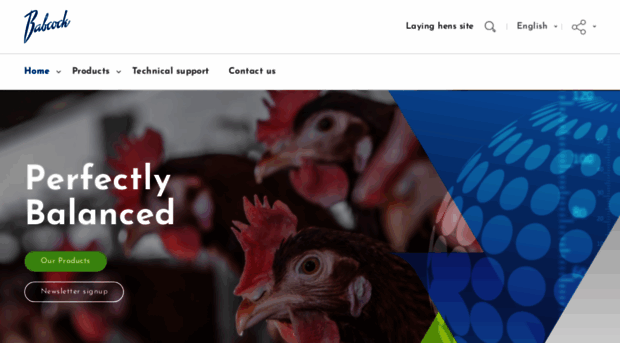 babcock-poultry.com