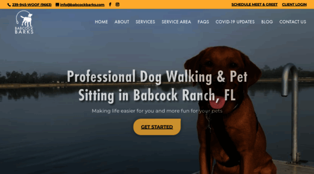 babcockbarks.barketing.co