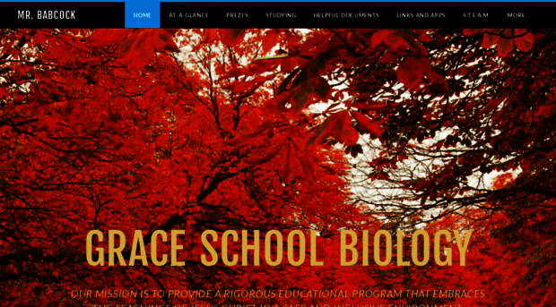 babcockbiology.weebly.com