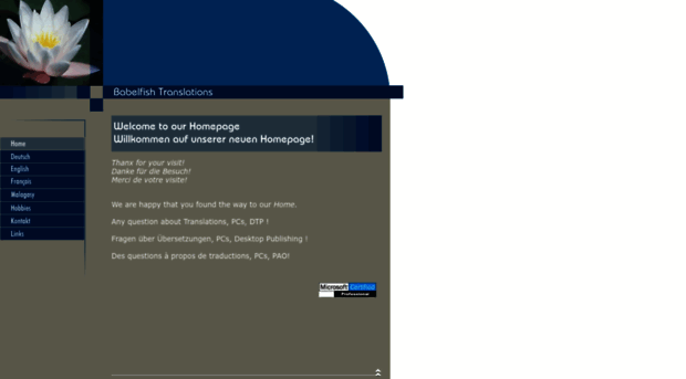 babelfish-translations.net