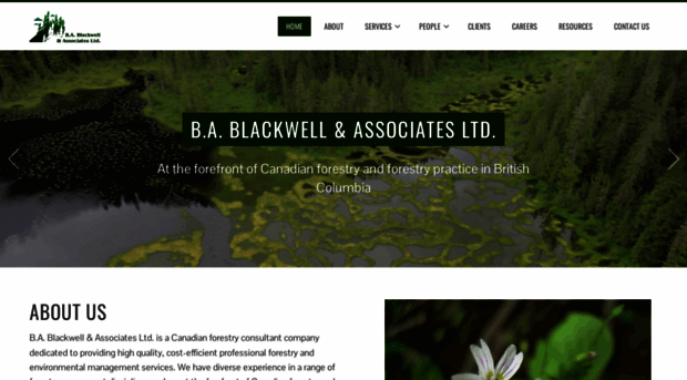 bablackwell.com