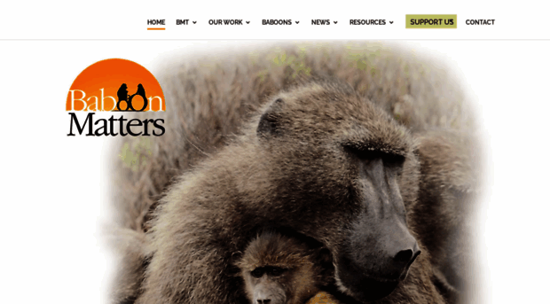 baboonmatters.org.za