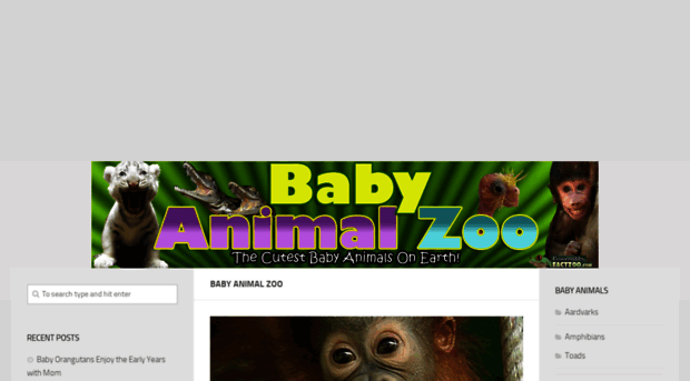 babyanimalzoo.com