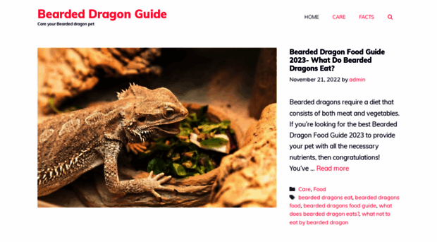 babybeardeddragonguide.com