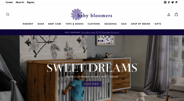 babybloomershome.com