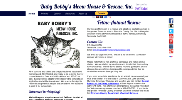 babybobbysmeowhouserescue.org