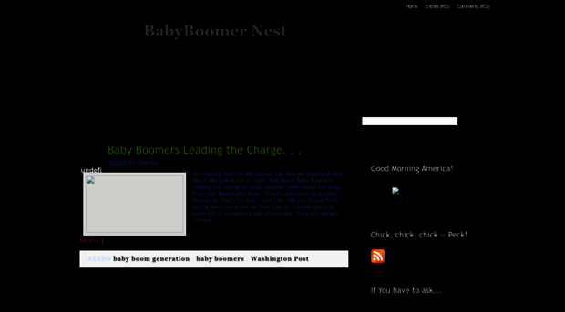 babyboomernest.blogspot.com