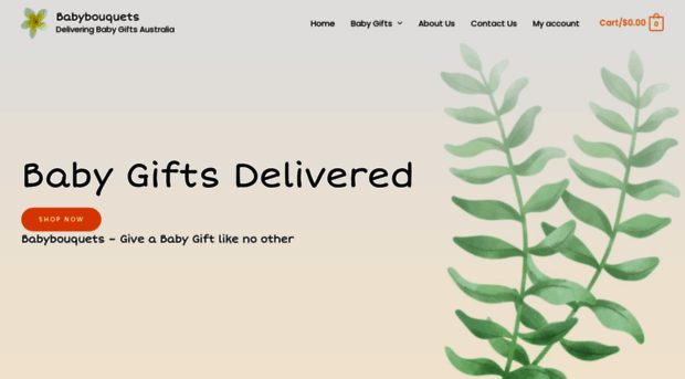 babybouquets.com.au