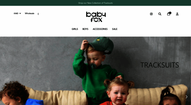 babyfoxkw.com