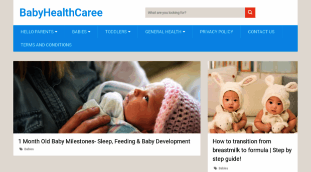 babyhealthcaree.com