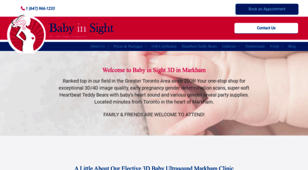 babyinsight3d.com