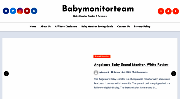 babymonitorteam.com