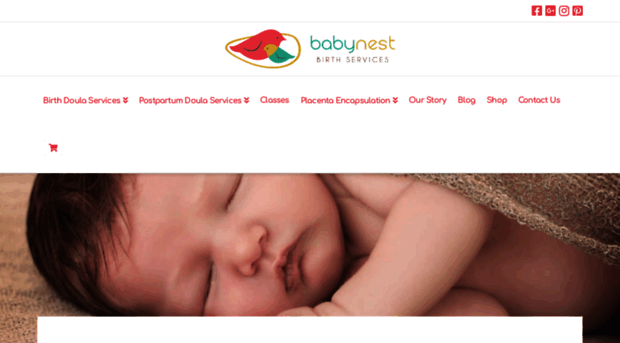 babynestbirth.com