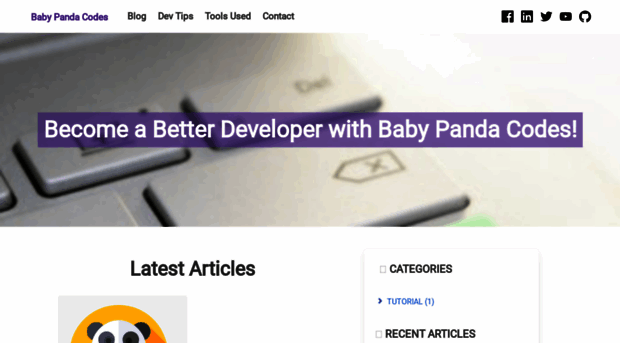 babypandacodes.com