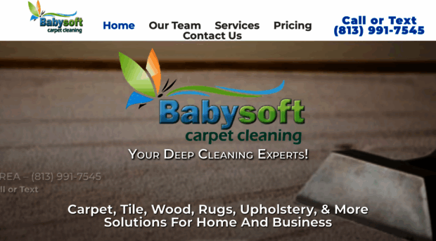 babysoftcarpetcleaning.com