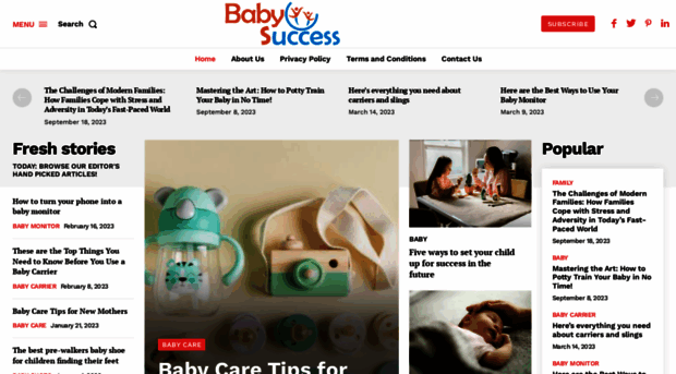 babysuccess.co.uk