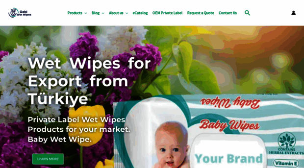 babywetwipe.com