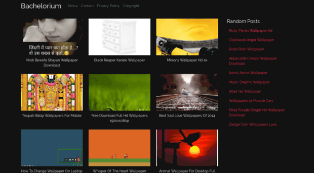 bachelorium.com