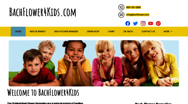 bachflower4kids.com