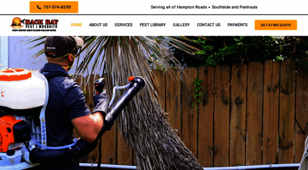 backbaypest.com